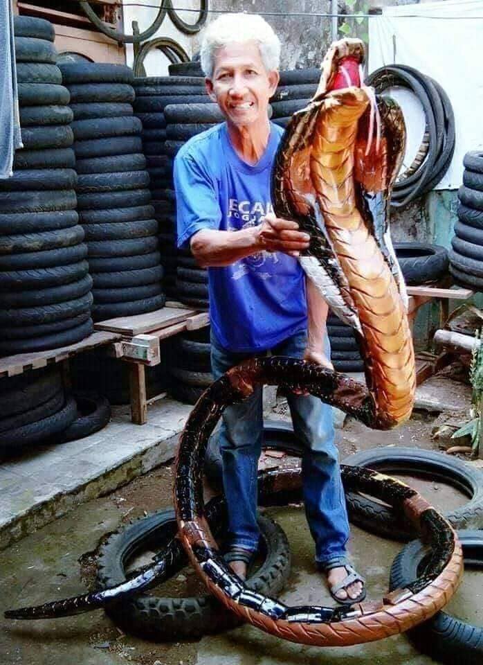 Sulap Ban Bekas Jadi Karya seni yang kocak dan bikin mata melongo melihatnya